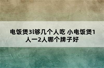 电饭煲3l够几个人吃 小电饭煲1人一2人哪个牌子好